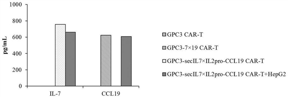 CAR-T cell for expressing immune regulation factors and application thereof