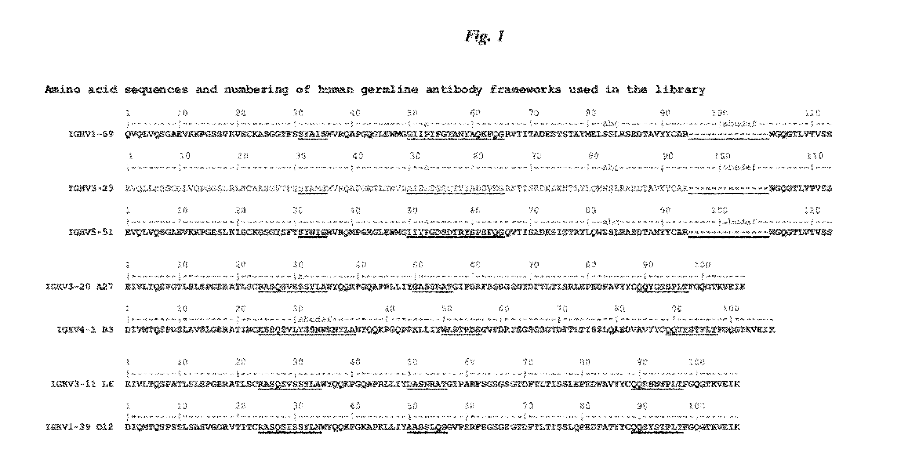 Human Oncostatin M Antibodies and Methods of Use