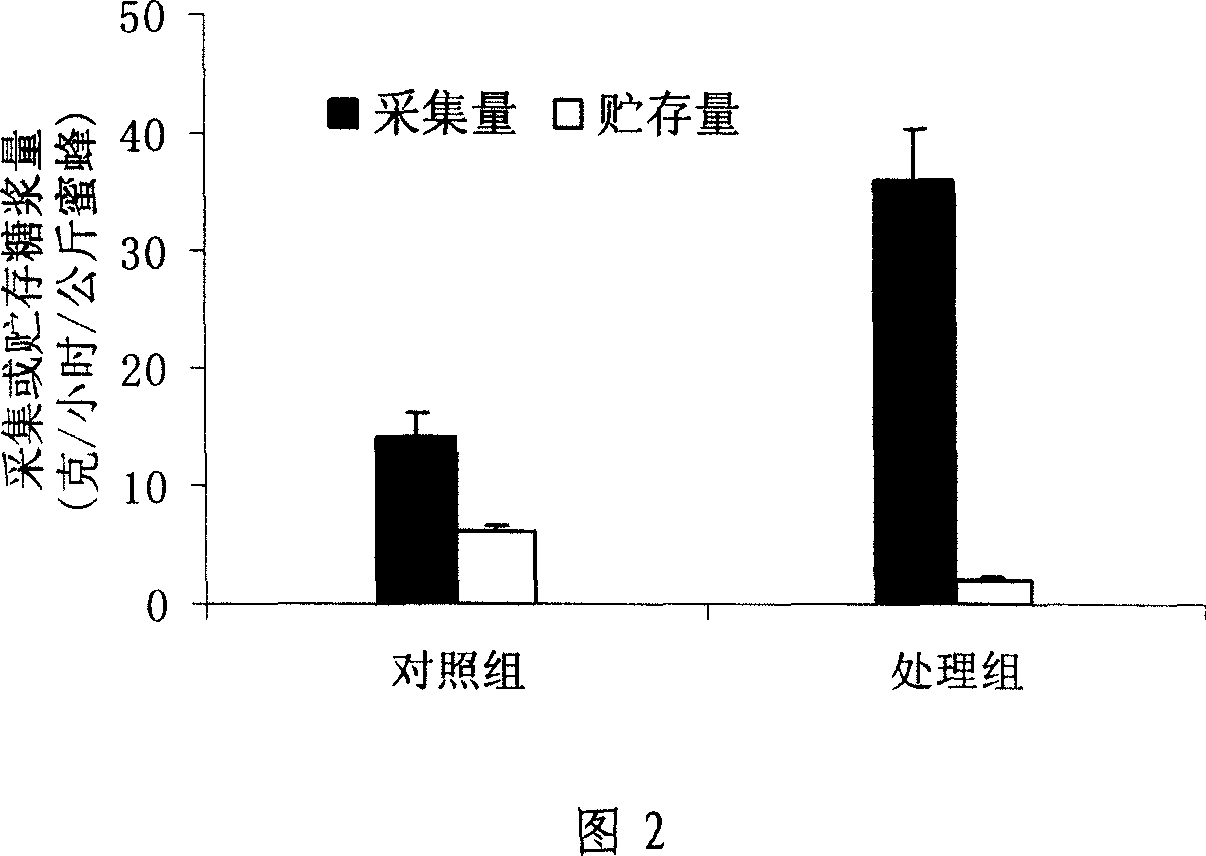 Feed additive for introducing bee to pollinate and its prepn process and application