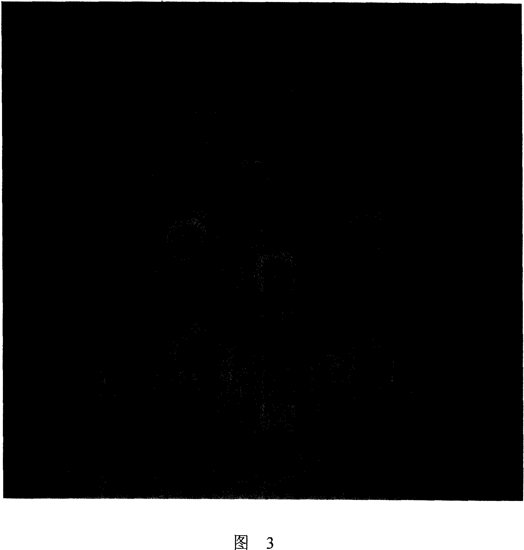 Feed additive for introducing bee to pollinate and its prepn process and application