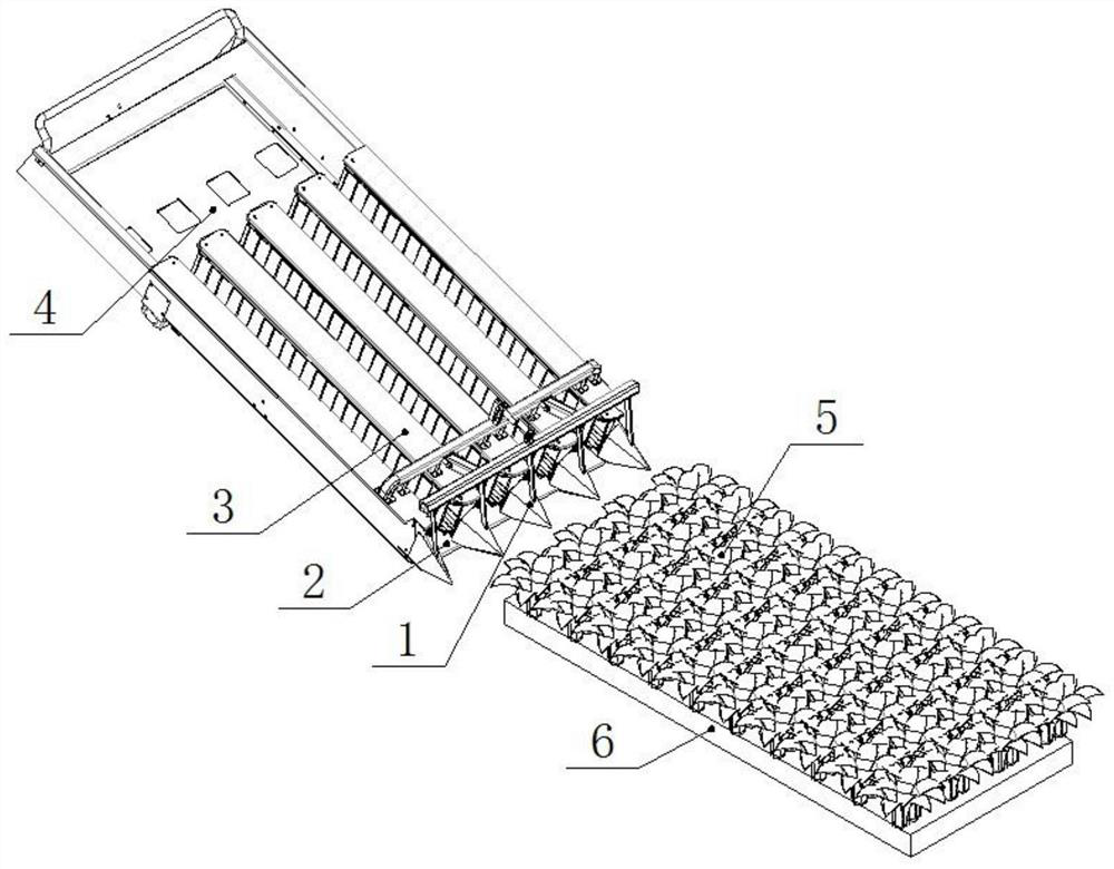 A kind of soft grain dividing and lifting device and the harvester equipped with the device