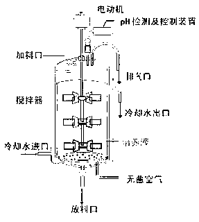 Vertical mixing fermentation tank