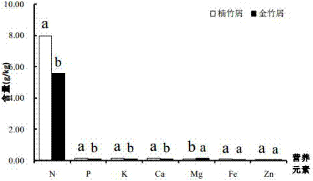 Method for utilizing bamboo forest waste to product edible mushrooms