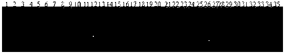 Molecular marker of rice major gene bph22 (t) resistant to brown planthoppers and application thereof