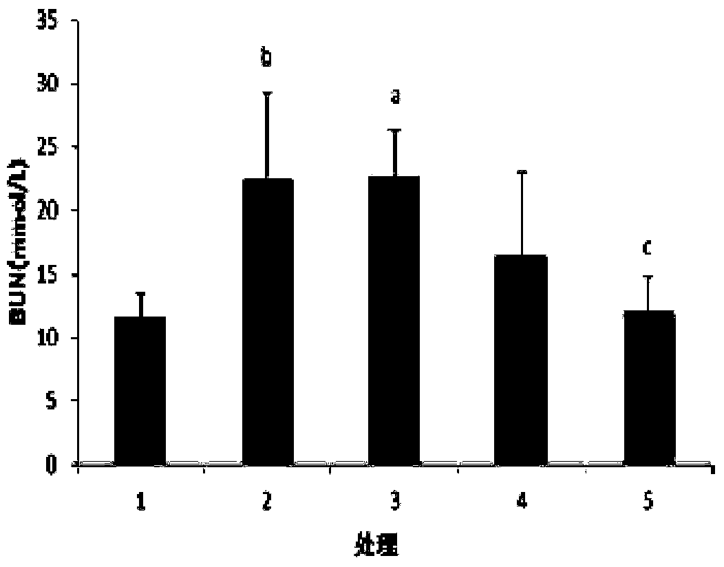 Application of N6-(2-ethoxy)adenosine in renal failure resistance