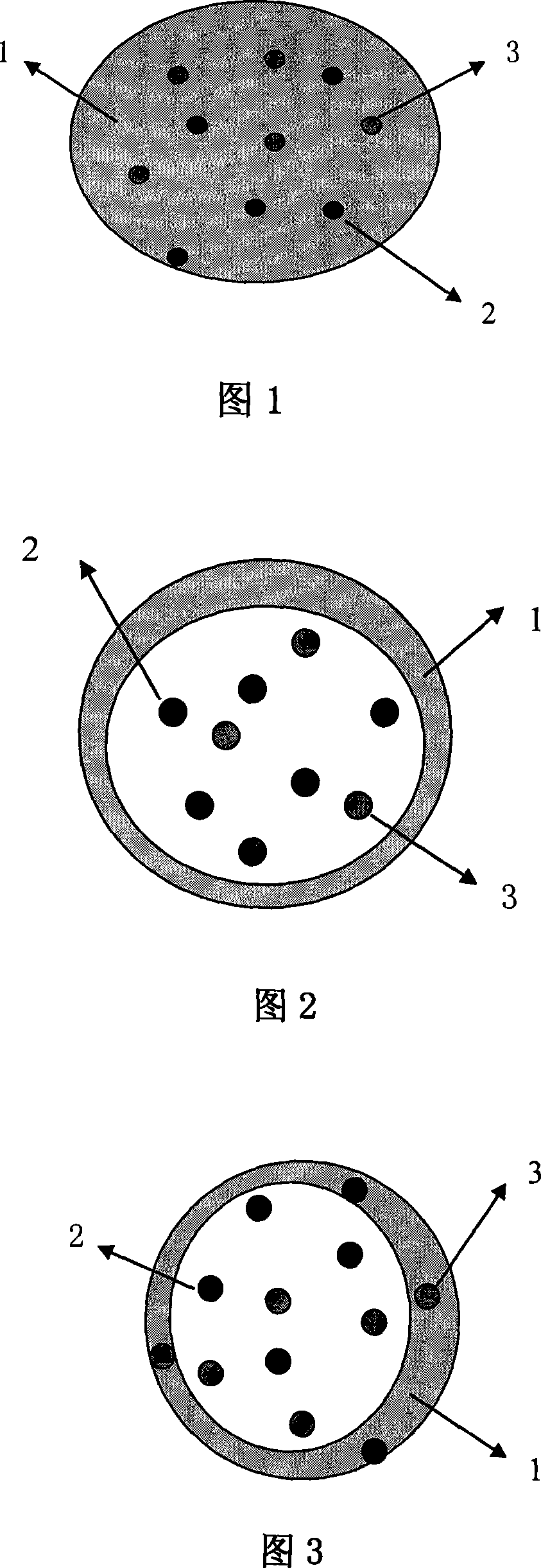 Magnetic nanometer particulate of liposoluble photosensitizer and method for preparing the same