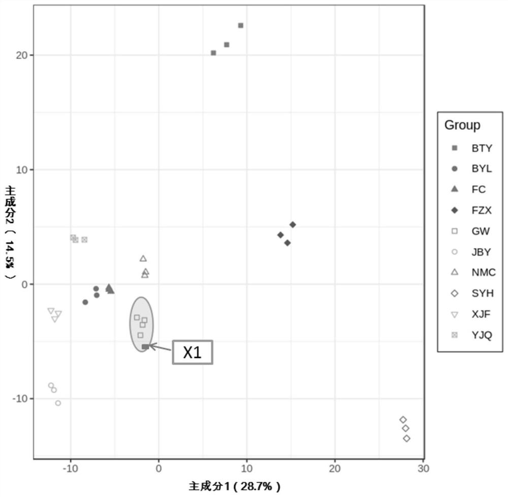 Method for identifying litchi varieties by using wide targeted metabonomics technology