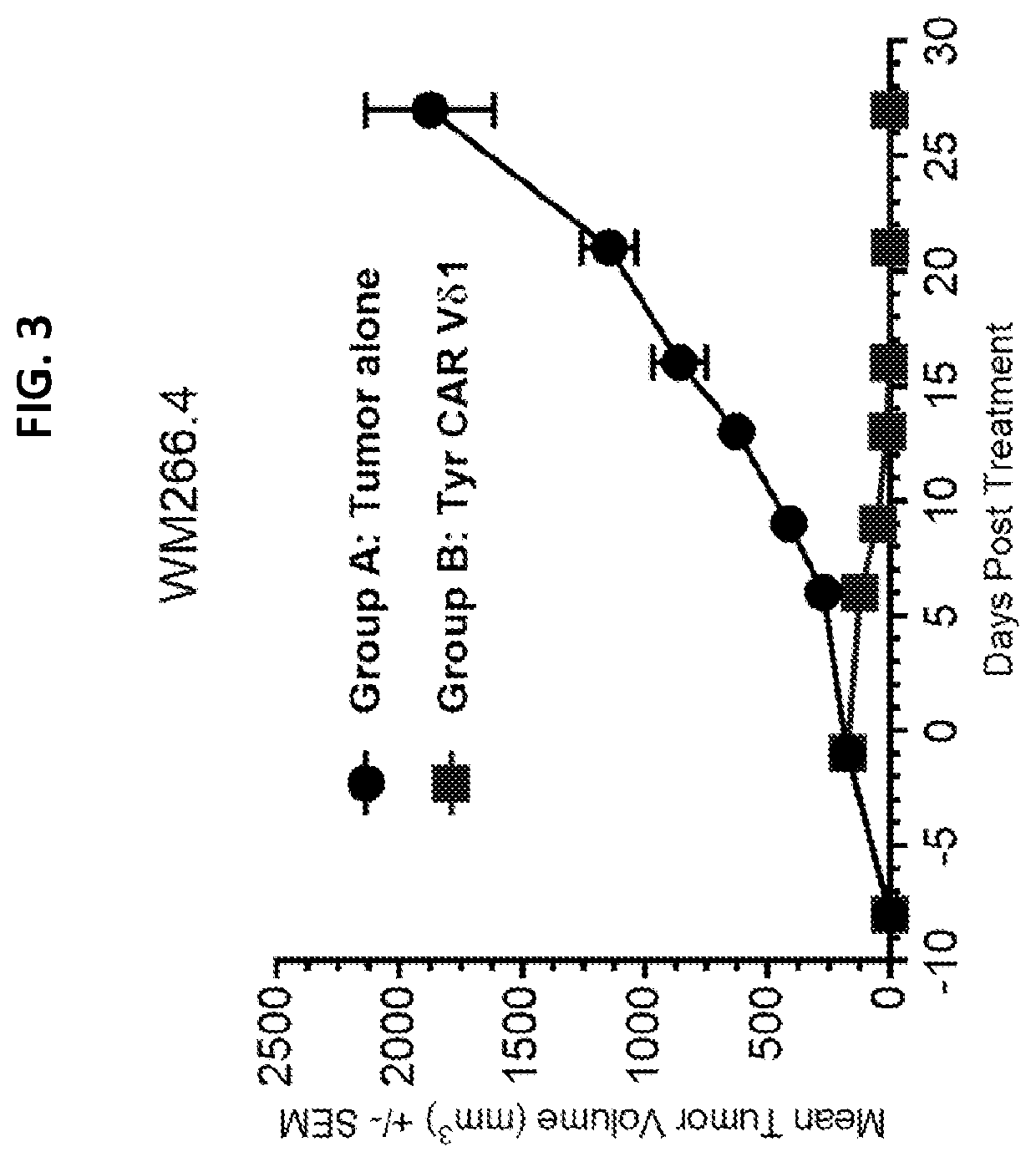 Compositions and methods regarding engineered and non-engineered gamma delta t-cells for treatment of solid tumors