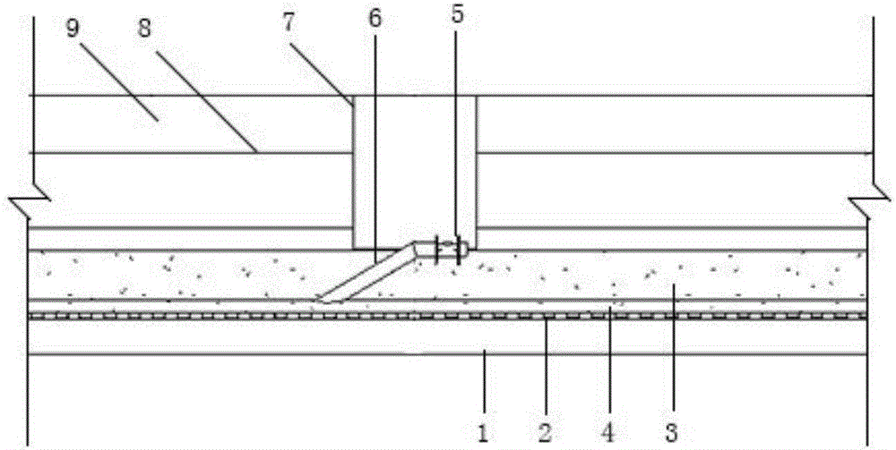 Reverse drainage system capable of reducing water pressure at bottom of tunnel