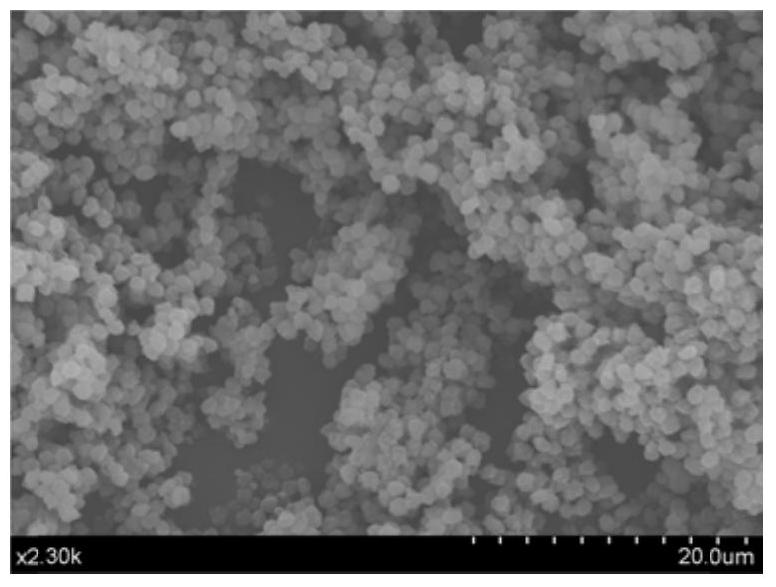 A kind of shikimic acid core-shell structure nano-preparation and preparation method thereof