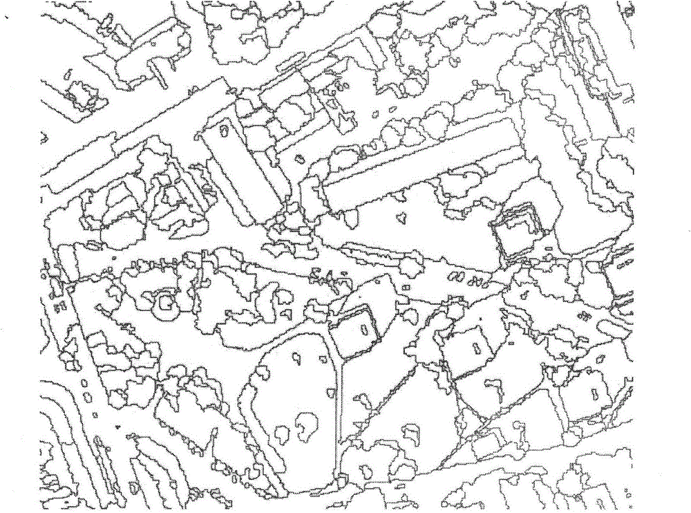 Tree canopy structure information extraction method based on rib method and crown height ratio