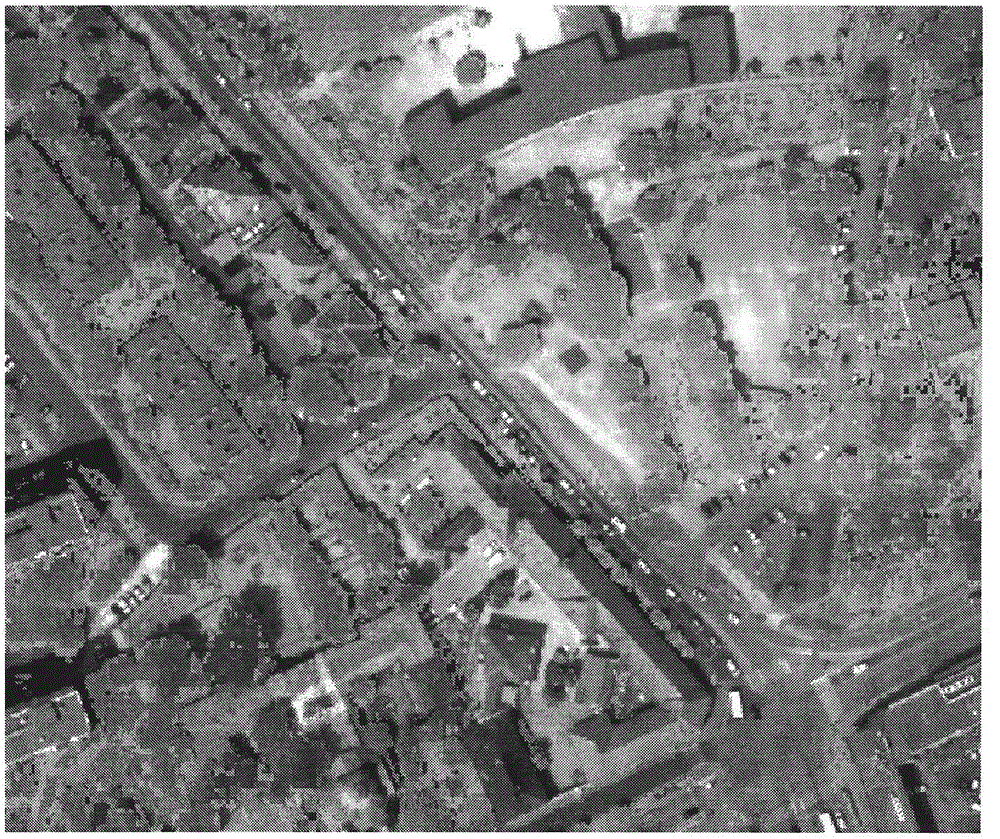 Tree canopy structure information extraction method based on rib method and crown height ratio