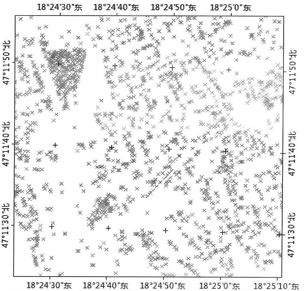 Tree canopy structure information extraction method based on rib method and crown height ratio