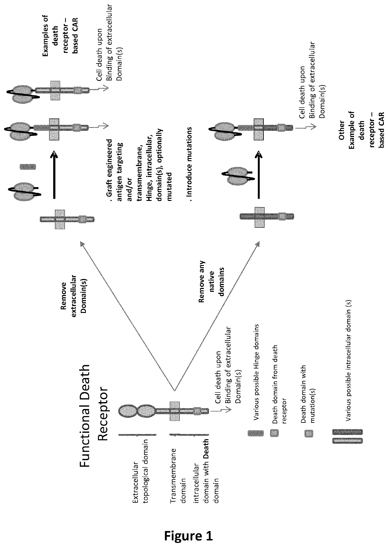 Cell death inducing chimeric antigen receptors