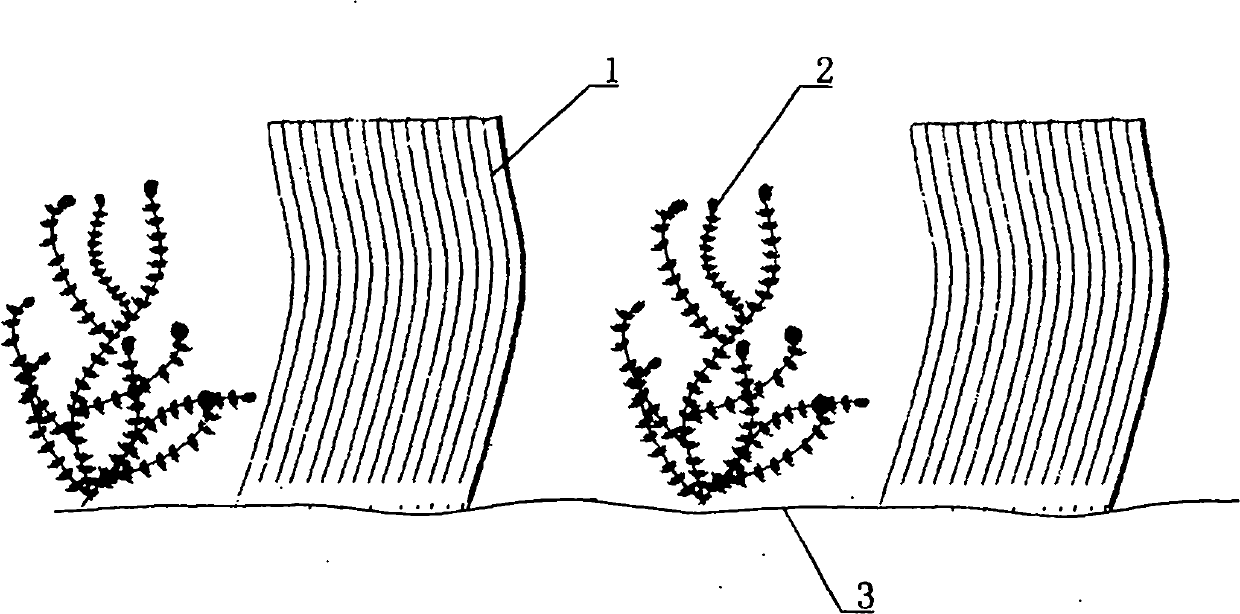 Method for inhibiting water bloom