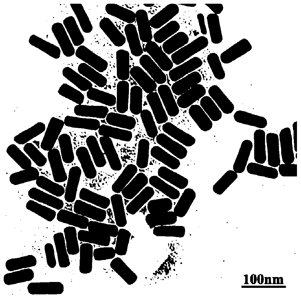 A method for constructing dolmen structures based on DNA origami templates and gold nanorods