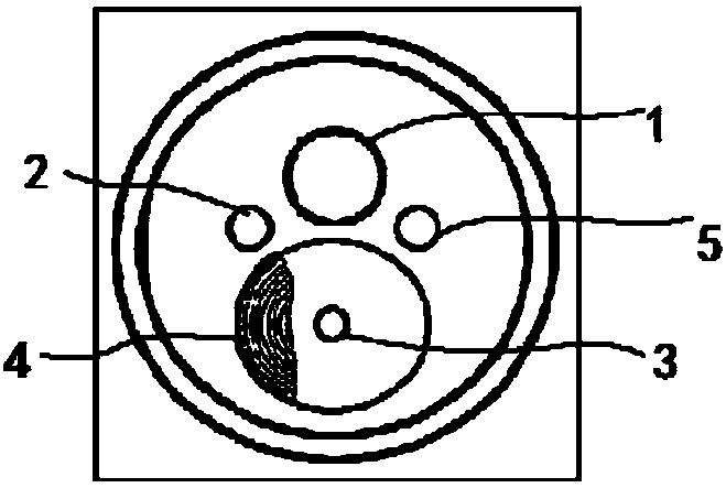 An endoscope system