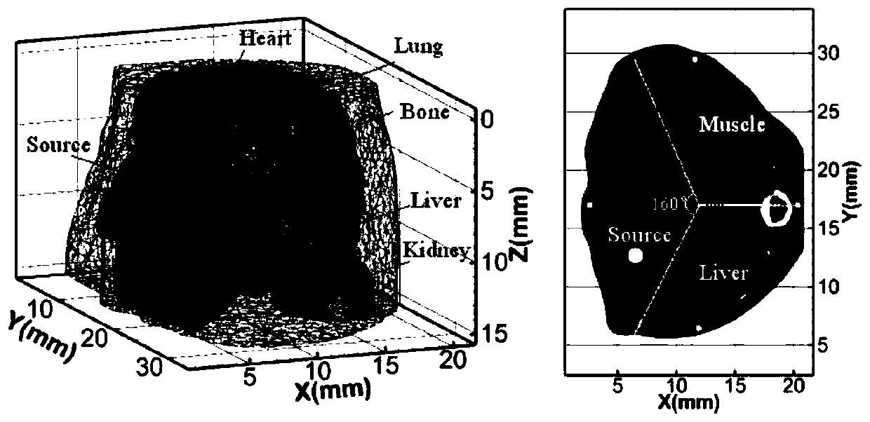 Fluorescence molecular tomography reconstruction method based on sparsity self-adaptive group orthogonal matching pursuit