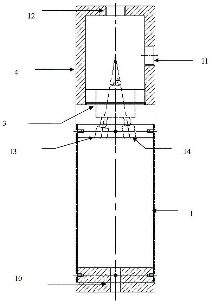 Probe type on-line monitoring system and probe type on-line monitoring method for water petroleum pollutants