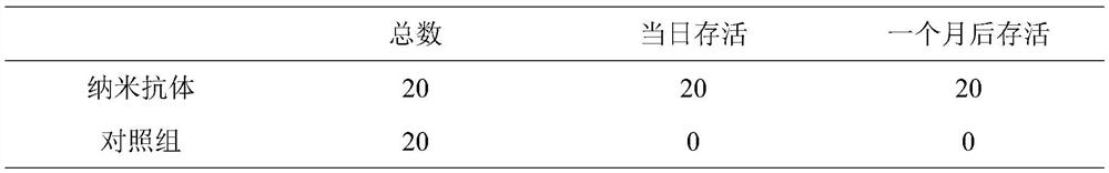 Anti-jellyfish toxin nanobody koto54, preparation method and use