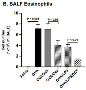 Application of gamma-glutamyltranspeptidase inhibitor GGsTop in preparation of medicine for treating acute attack of asthma and refractory asthma