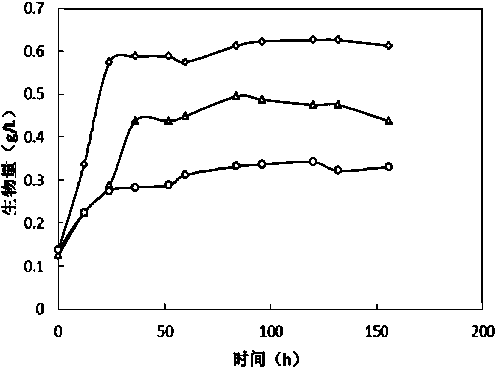 Method for culturing chlorella by heterotrophism with sludge hydrolysate