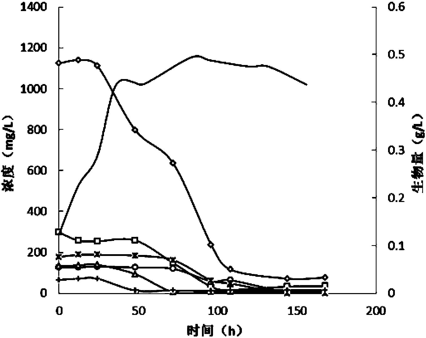 Method for culturing chlorella by heterotrophism with sludge hydrolysate