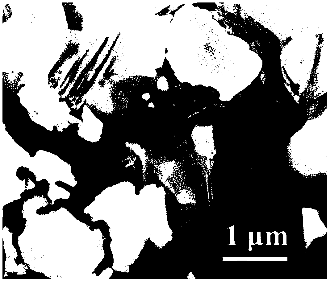 Zirconium diboride and short carbon fiber modified thermal shock resistant and ablation resistant SiBCN ceramic material and preparation method thereof