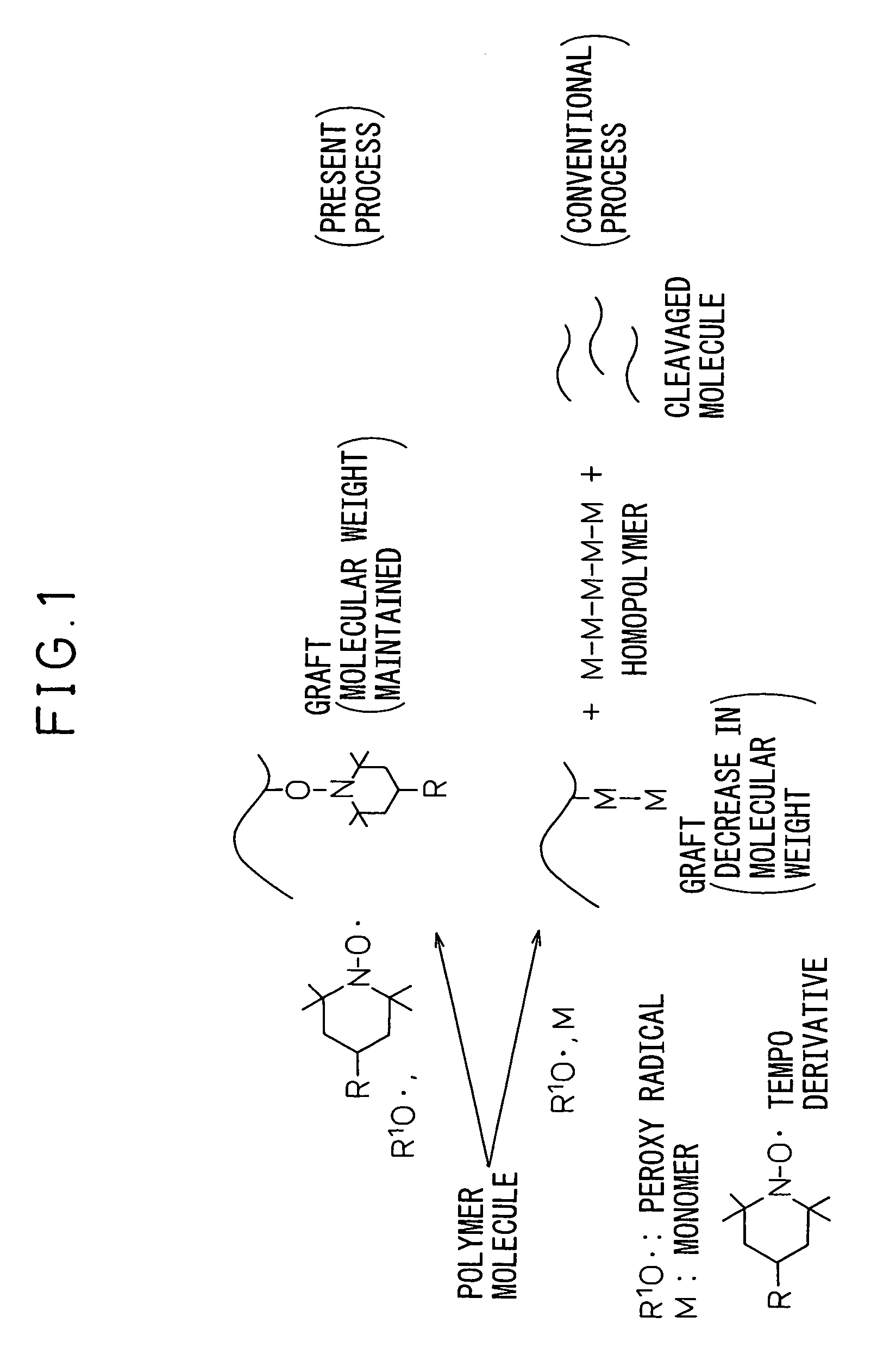 Process for modification of polymer