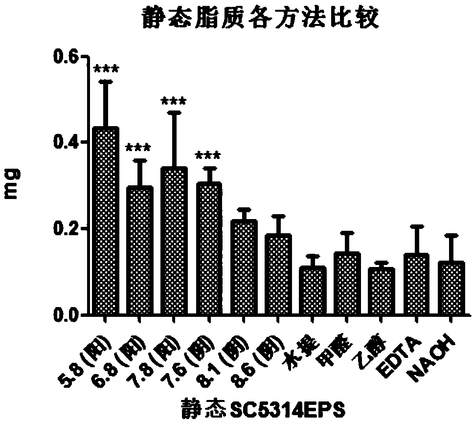 Extraction method of candida fungal biofilm extracellular matrix