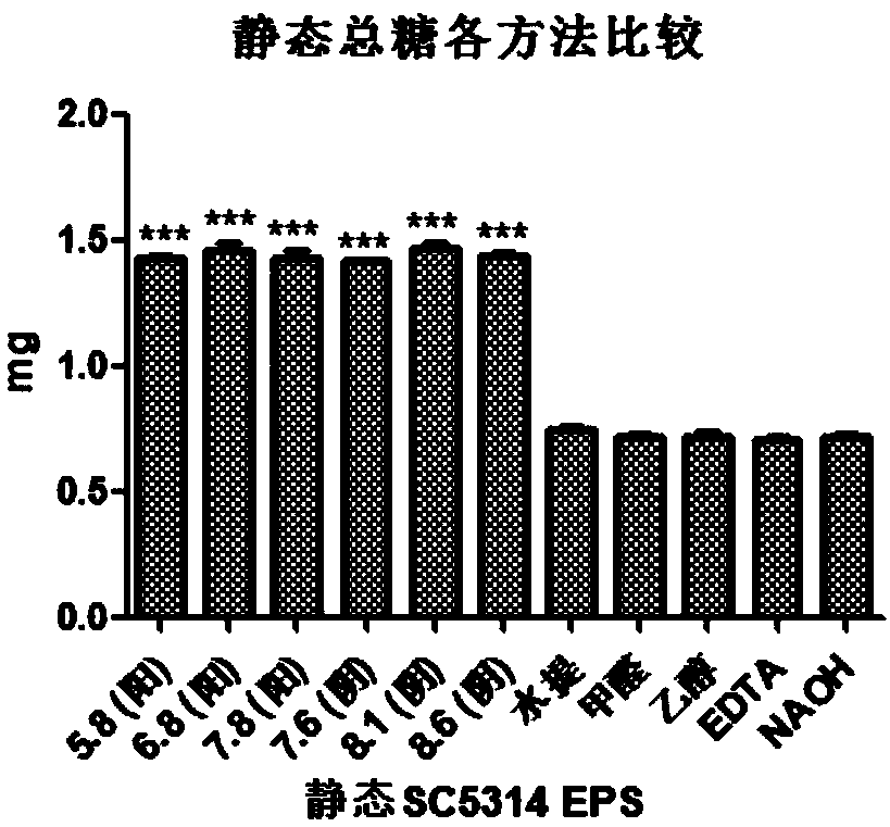 Extraction method of candida fungal biofilm extracellular matrix