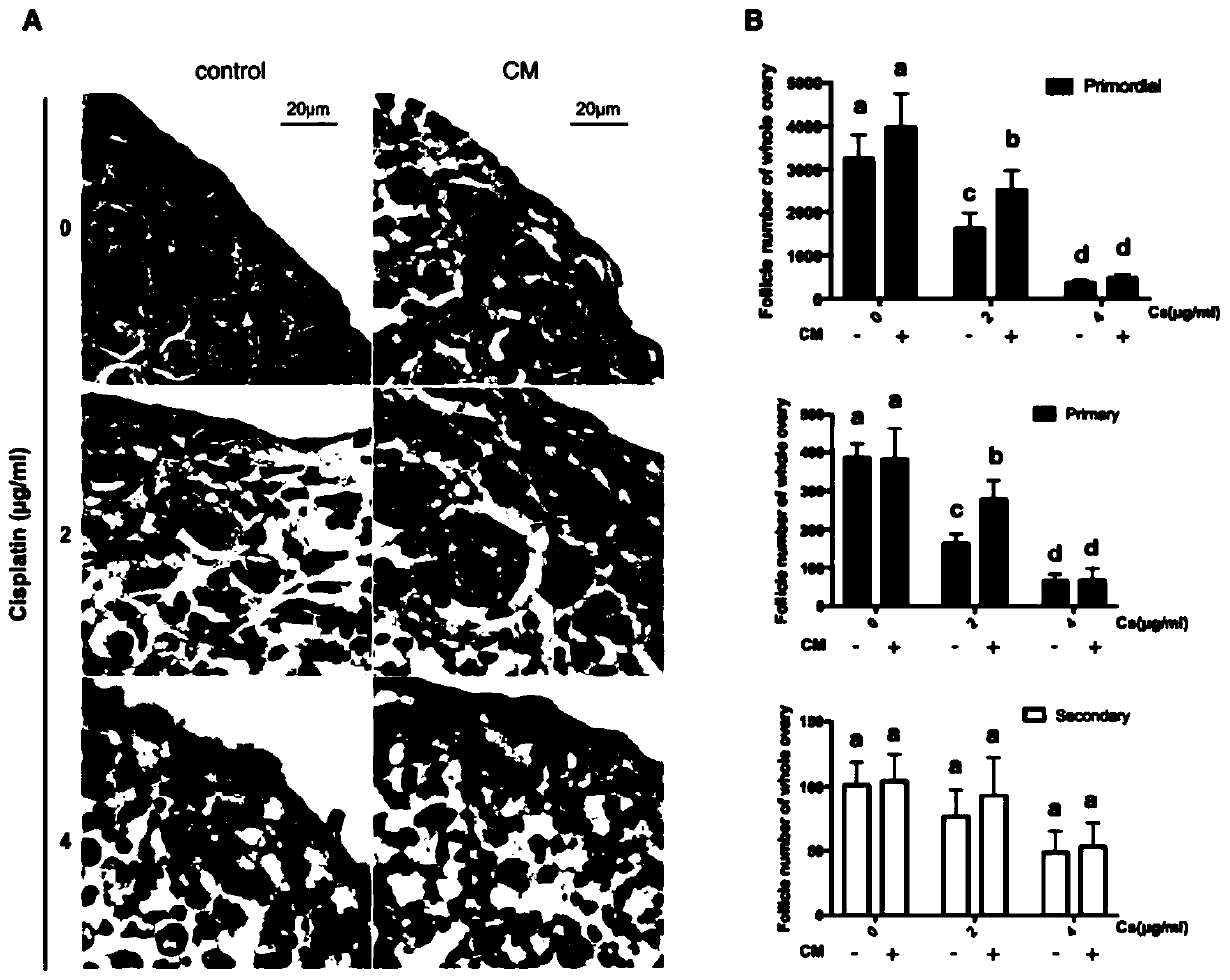 Application of umbilical cord mesenchymal stem cell conditioned medium