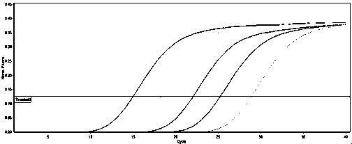 Method for detecting quantity of pseudomonas fluorescens in rhizospheric soil during growth period of transgenic wheat by virtue of fluorescent quantitative PCR (Polymerase Chain Reaction)