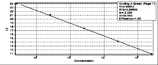 Method for detecting quantity of pseudomonas fluorescens in rhizospheric soil during growth period of transgenic wheat by virtue of fluorescent quantitative PCR (Polymerase Chain Reaction)