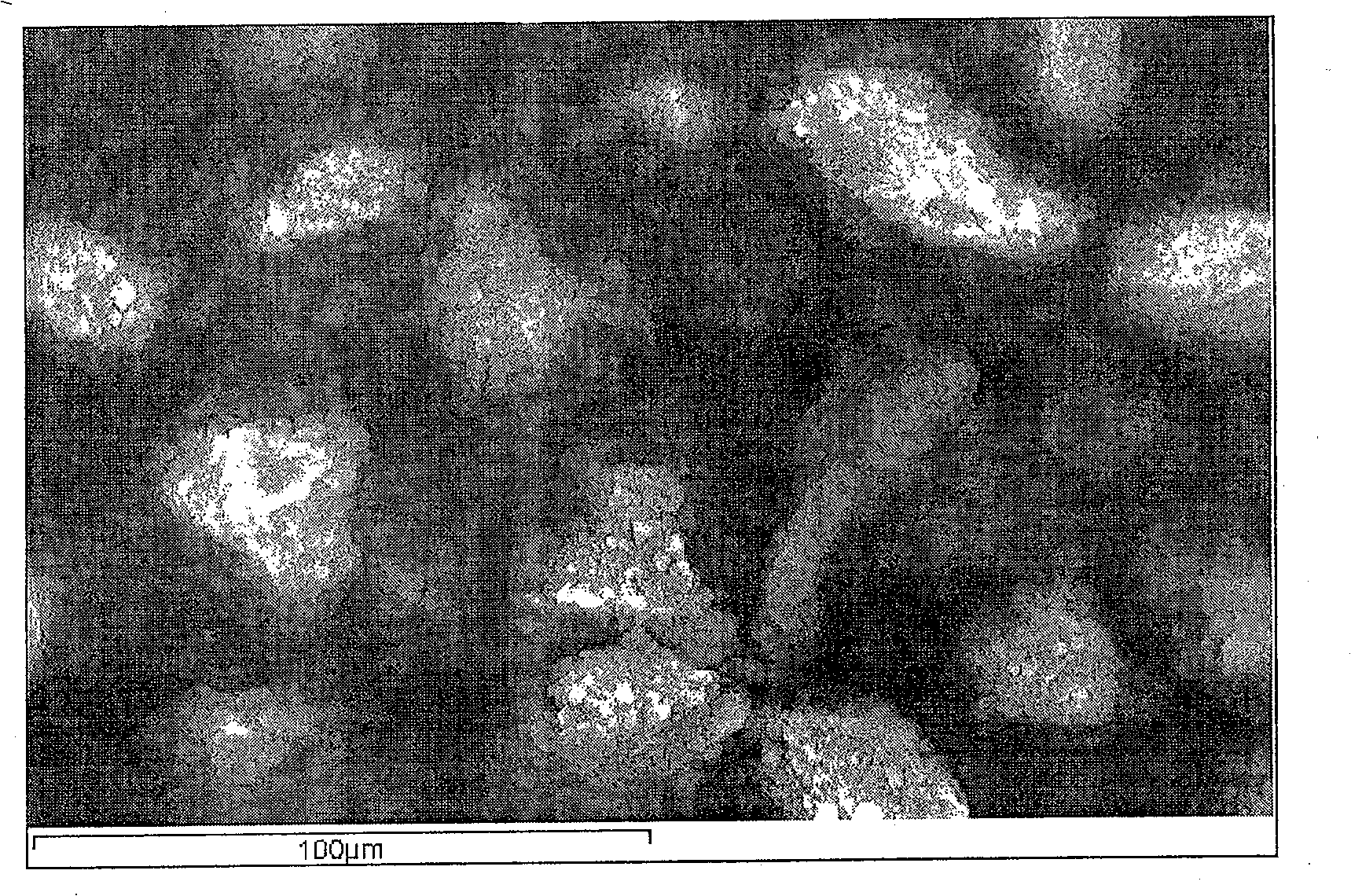 Method for preparing benzodiazepine molecule surface blotting solid-phase extractant