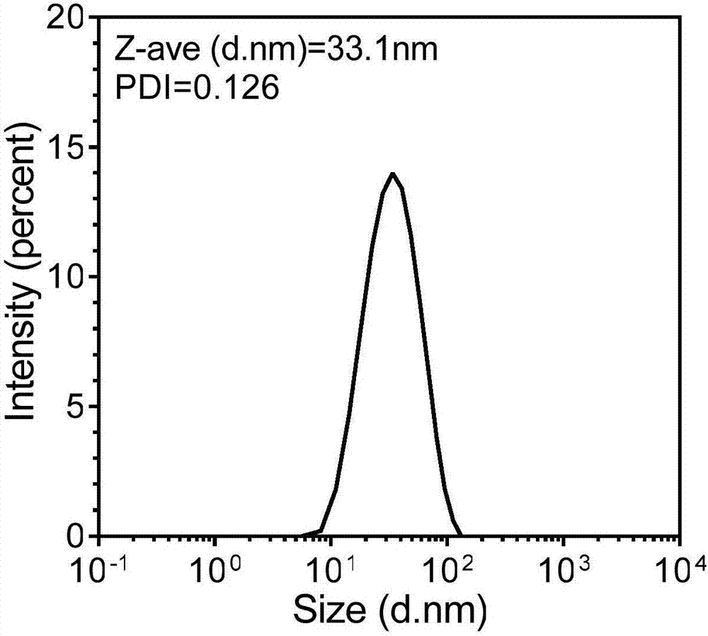 Docetaxel polymer nano-micelle injection, and preparation method and application thereof in preparation of tumor drugs