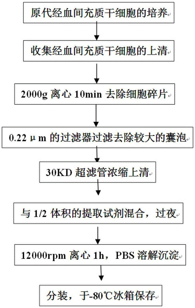 Application of exosome to preparing of acute-hepatic-failure treating medicine and medicine composition