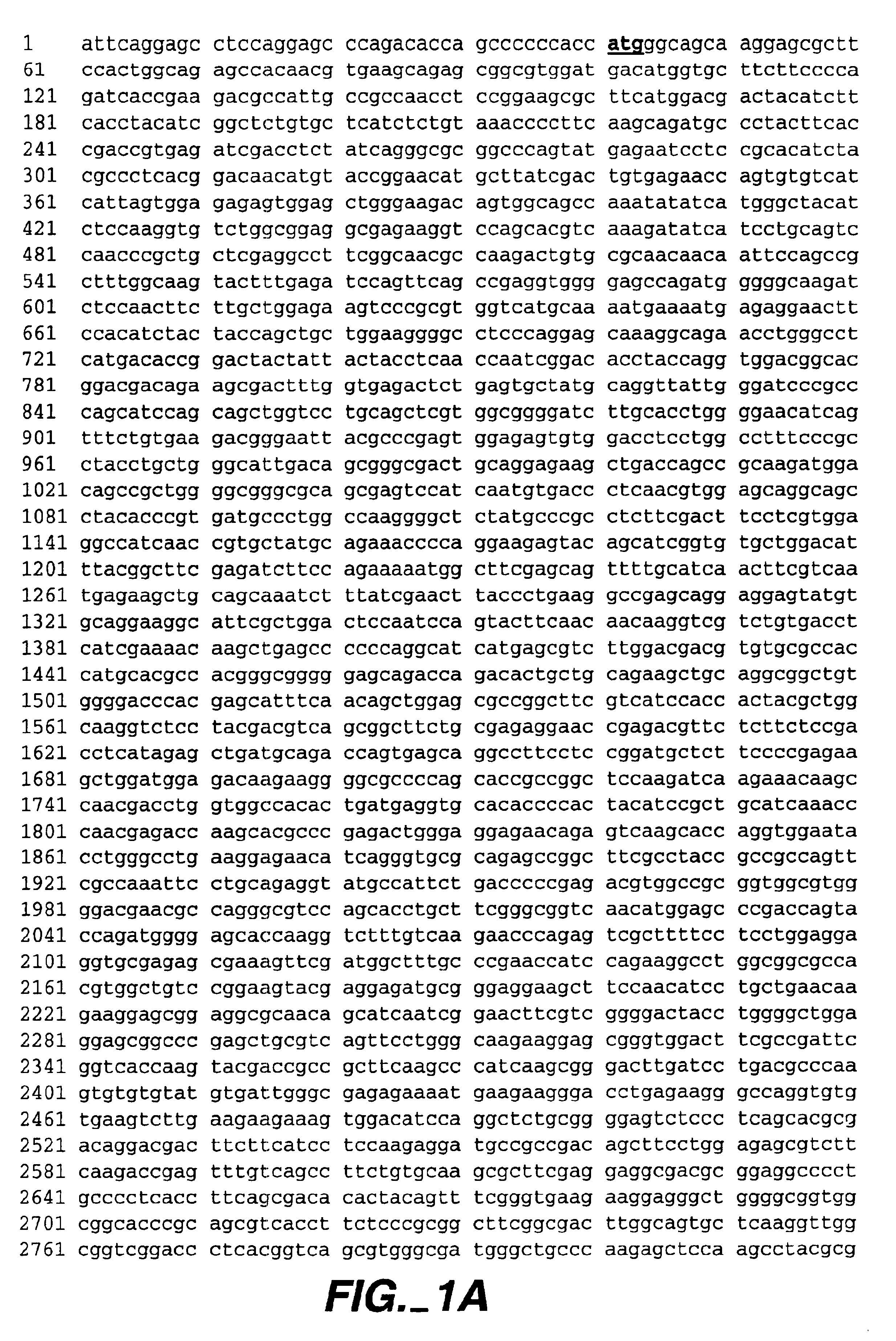 Modulators of B-lymphocyte activation, myosin-1F compositions and methods of use