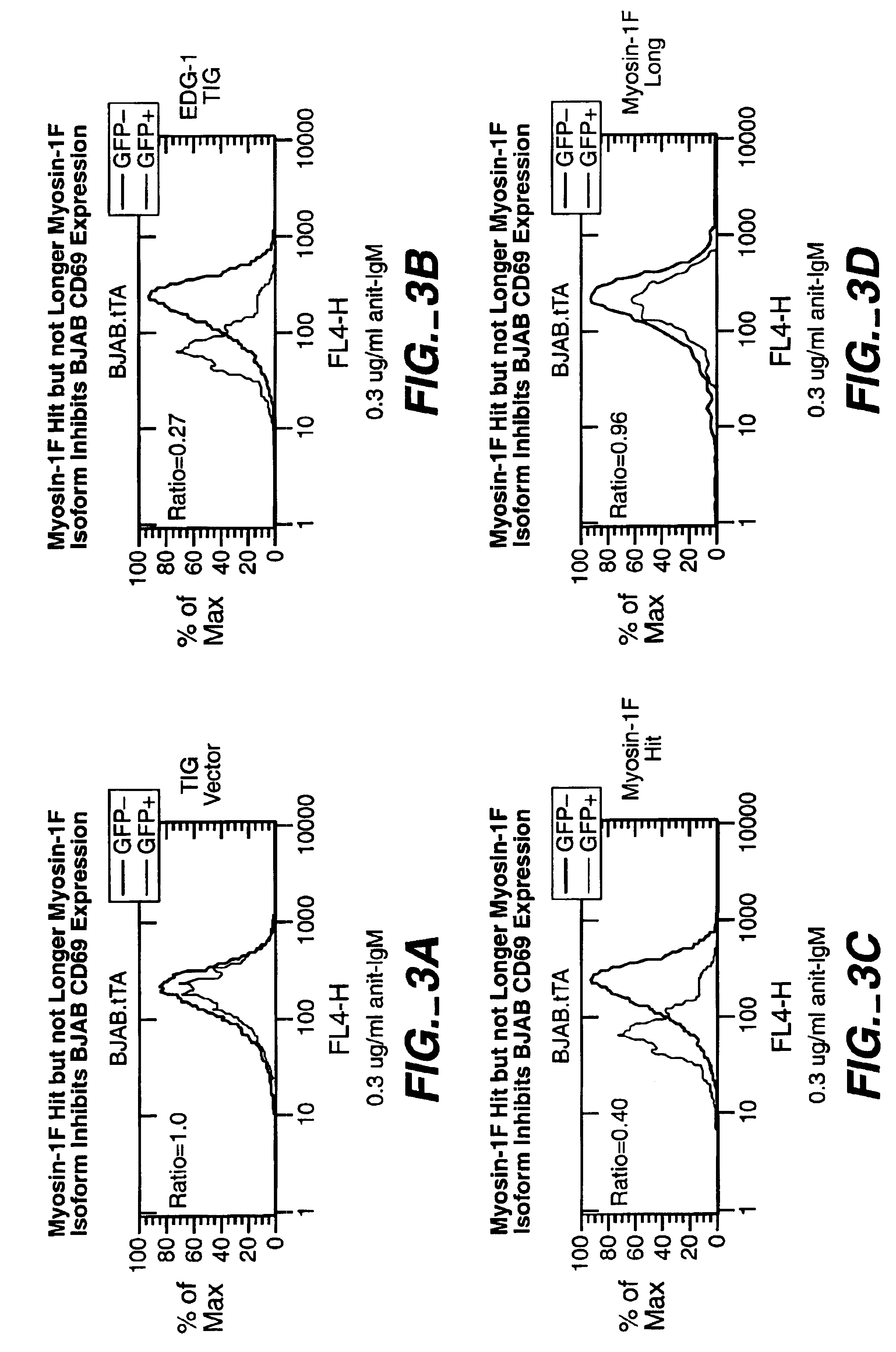 Modulators of B-lymphocyte activation, myosin-1F compositions and methods of use