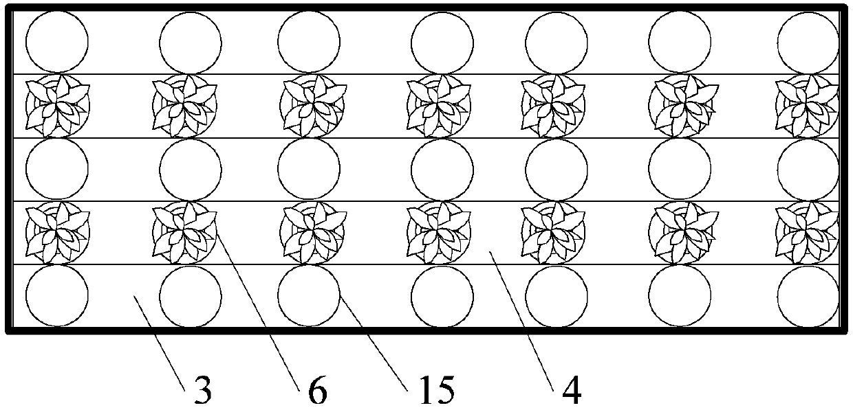 Automatic regulation system for sustainable picking of indoor strawberry stratification