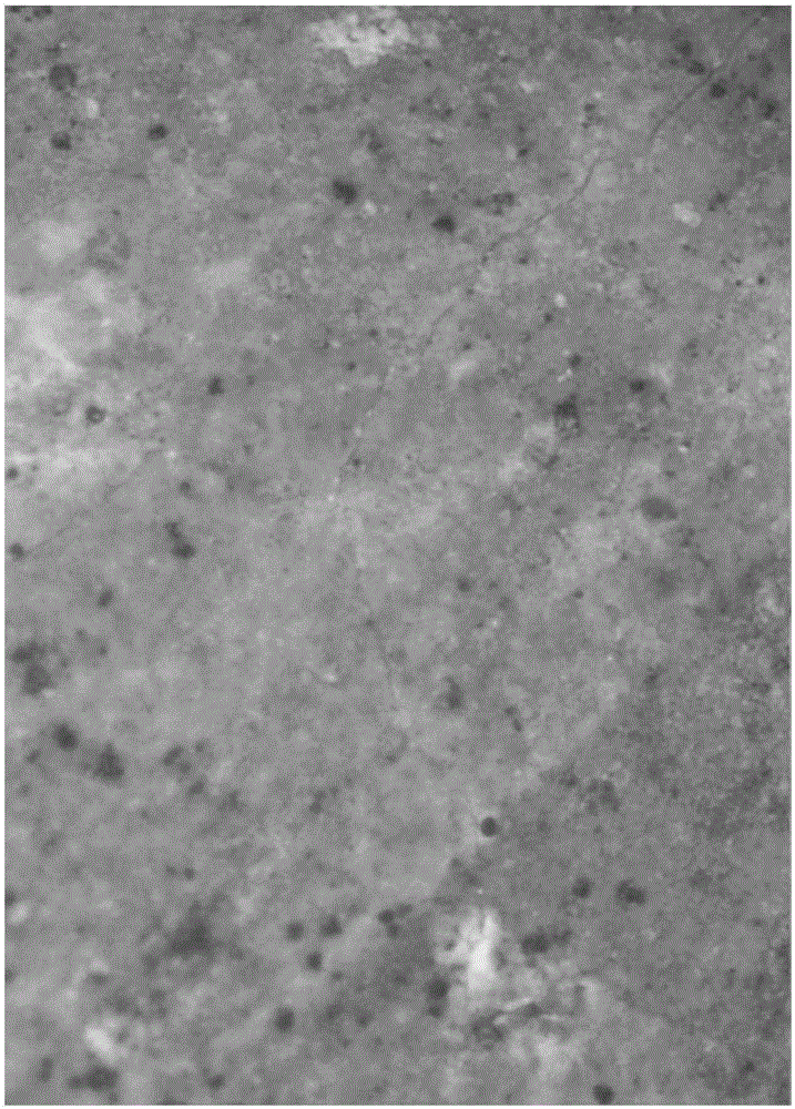 Microscopic dynamic monitoring device and repairing method for ceramic historical relic painting layer micron-scale crack