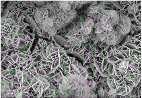 Iron doped cobaltosic oxide nano-film as well as preparation method and application thereof