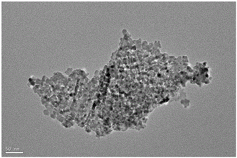 Iron doped cobaltosic oxide nano-film as well as preparation method and application thereof