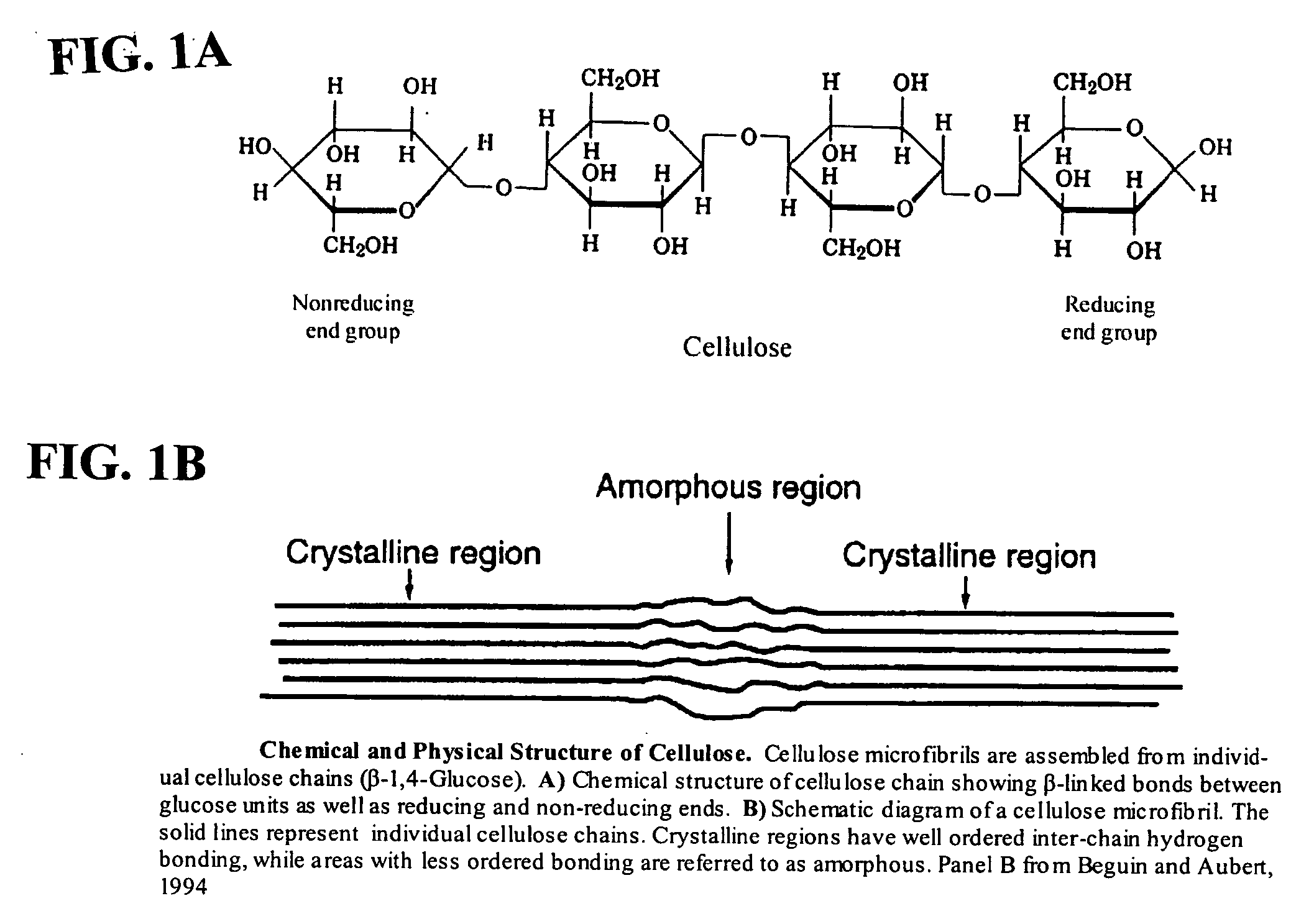 Plant wall degradative compounds and systems