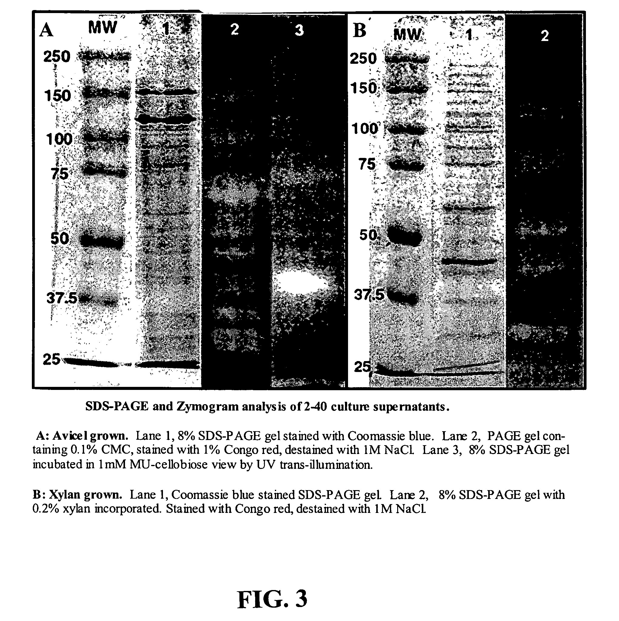 Plant wall degradative compounds and systems