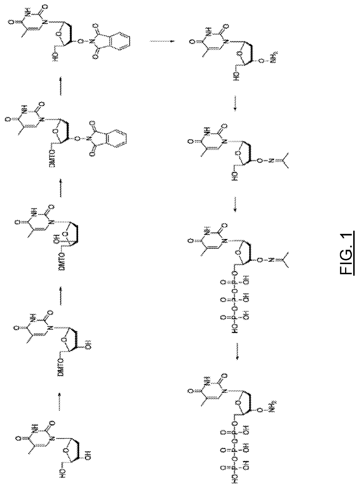 Method for preparing 3'-o-amino-2'-deoxyribonucleoside-5'-triphosphates