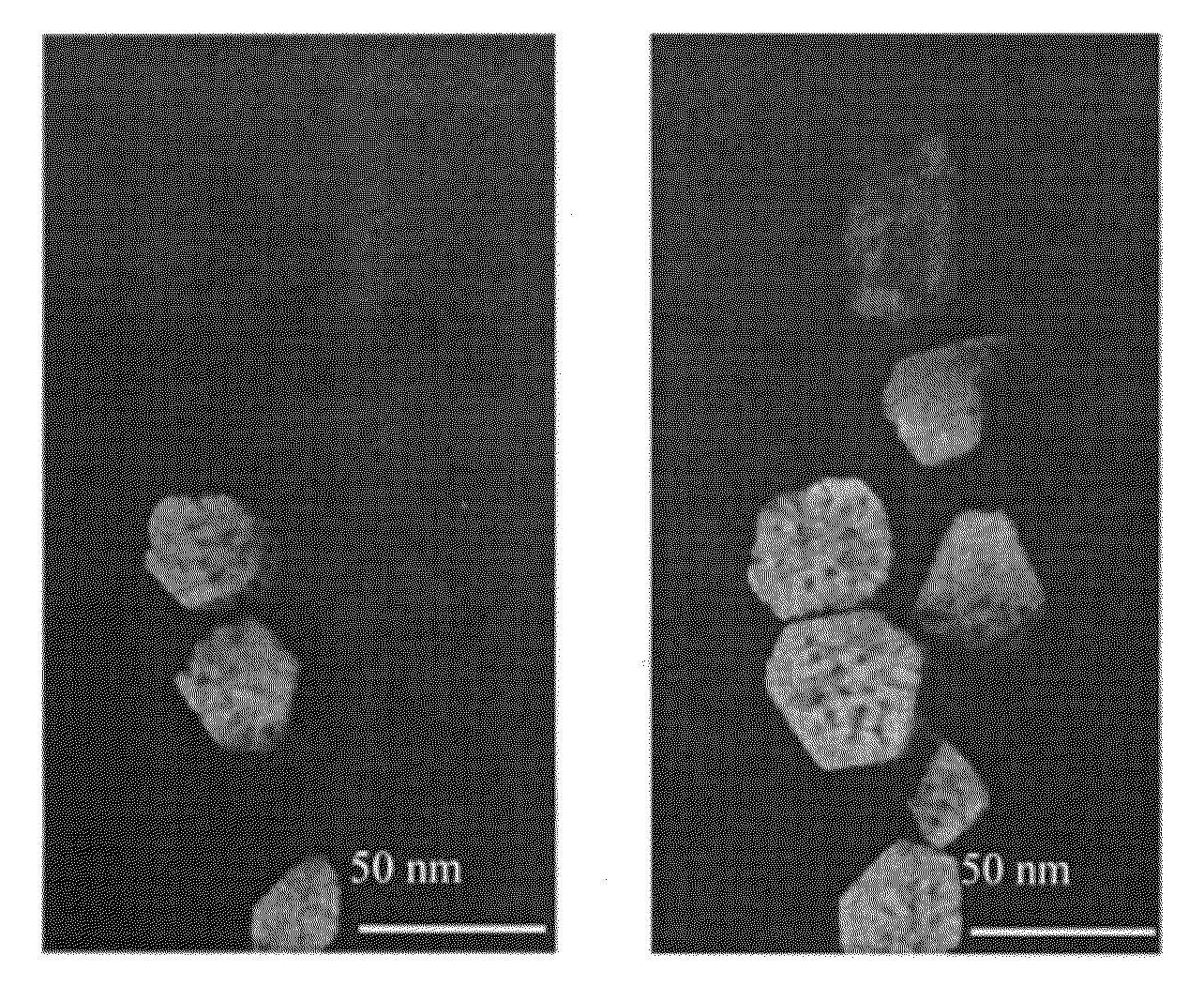 Bulk Synthesis of Nanoporous Palladium and Platinum Powders