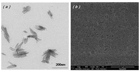 Method for preparing nano hydroxyapatite