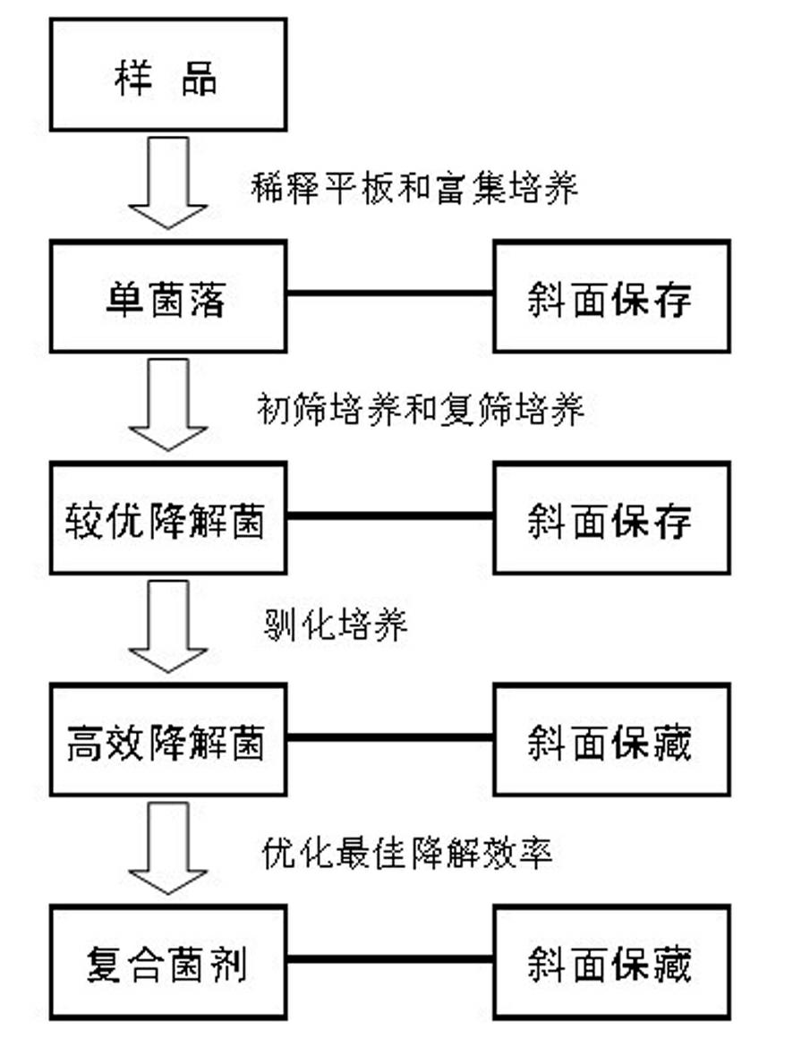 Composite bacterial agent for efficiently degrading kitchen garbage, and preparation method and application thereof