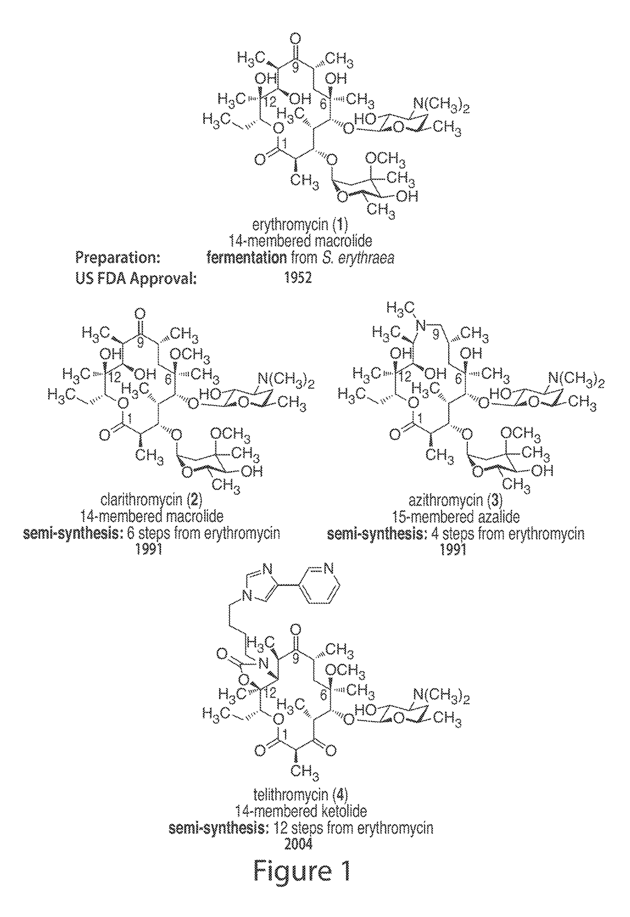 Macrolides with modified desosamine sugars and uses thereof